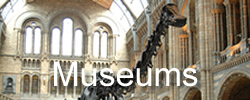 museum - places to go in Hampshire