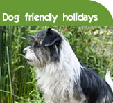 Dog friendly holiday cottages