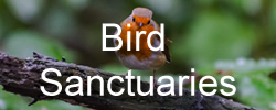 bird - places to go in Bedfordshire
