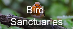 bird - places to go in Lancashire