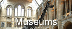 museum - places to go in Dorset