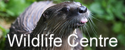 wildlife-centre - places to go in Somerset